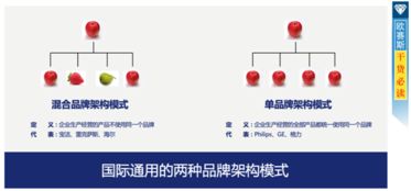 柔軟生活品牌營銷策劃方案解析 以溫情策略塑造品牌靈魂