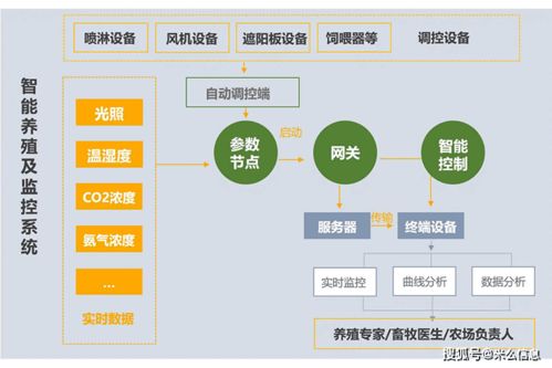 養(yǎng)殖系統(tǒng)開發(fā) 信息系統(tǒng)集成服務推動傳統(tǒng)水產(chǎn)養(yǎng)殖業(yè)變革
