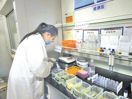 無錫快檢 小窗口 守護 菜籃子 為民辦實事項目提前完成上半年目標